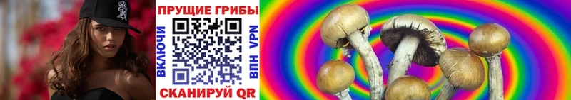 Псилоцибиновые грибы мухоморы Купить Кизел